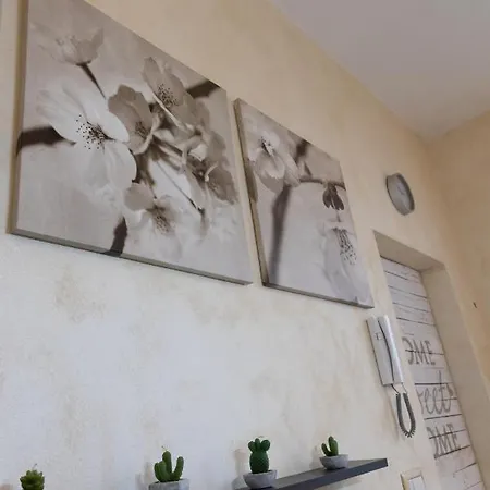 Apartamento Dream - Ceci's *